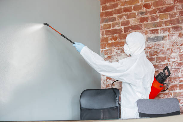 Best Mold Removal for HVAC Installations  in Colbert, OK