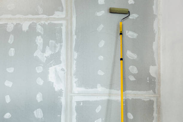 Best Industrial Mold Remediation  in Colbert, OK
