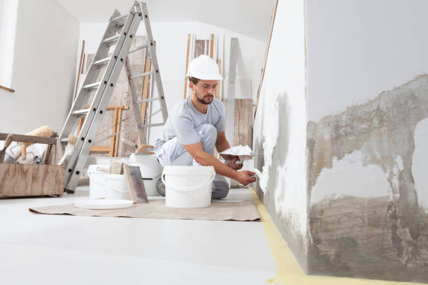 Best Forensic Mold Investigation  in Colbert, OK